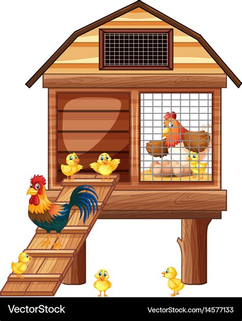 chicken coop cartoon|chicken co-op vector image.